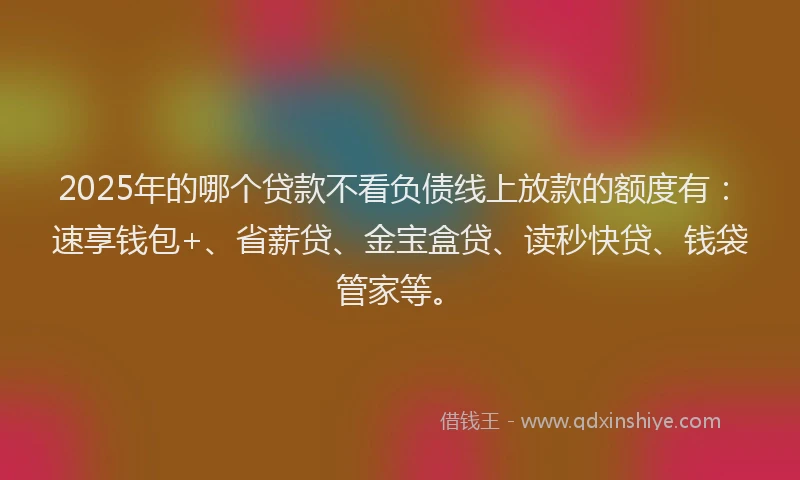 2025年的哪个贷款不看负债线上放款的额度有：速享钱包+、省薪贷、金宝盒贷、读秒快贷、钱袋管家等。