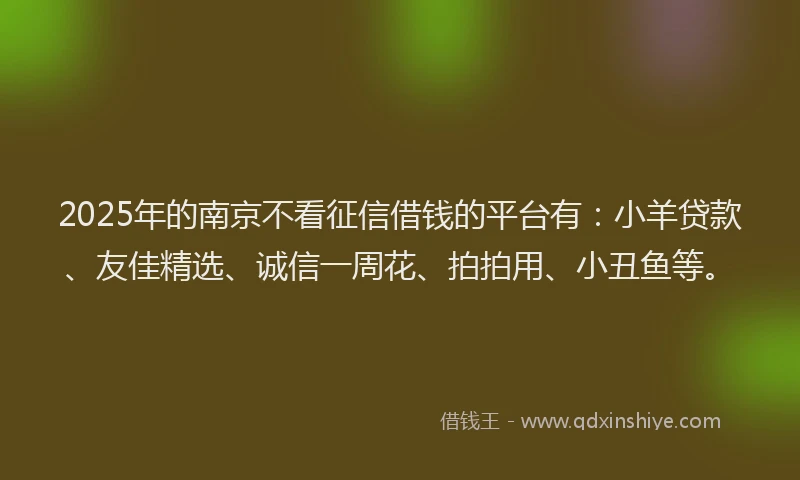 2025年的南京不看征信借钱的平台有：小羊贷款、友佳精选、诚信一周花、拍拍用、小丑鱼等。