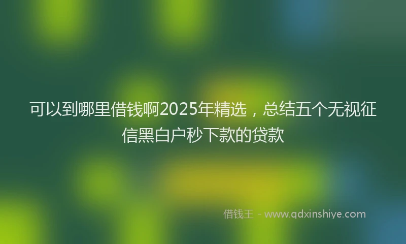 可以到哪里借钱啊2025年精选，总结五个无视征信黑白户秒下款的贷款