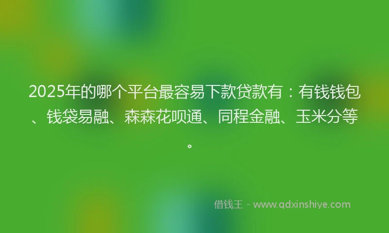 2025年的哪个平台最容易下款贷款有：有钱钱包、钱袋易融、森森花呗通、同程金融、玉米分等。