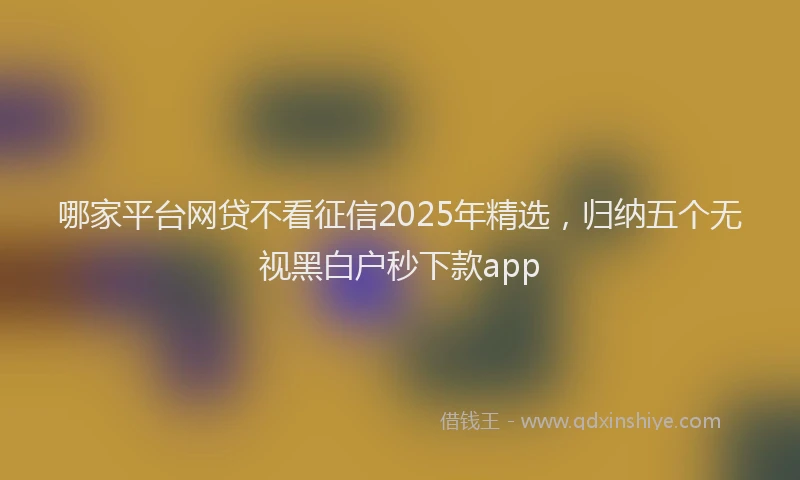 哪家平台网贷不看征信2025年精选，归纳五个无视黑白户秒下款app