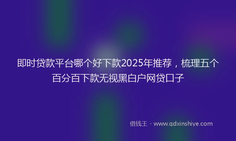 即时贷款平台哪个好下款2025年推荐，梳理五个百分百下款无视黑白户网贷口子