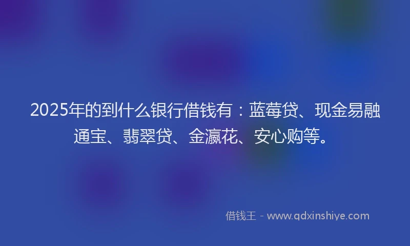 2025年的到什么银行借钱有：蓝莓贷、现金易融通宝、翡翠贷、金瀛花、安心购等。