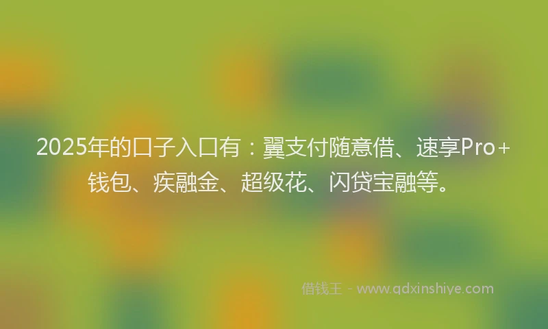 2025年的口子入口有：翼支付随意借、速享Pro+钱包、疾融金、超级花、闪贷宝融等。