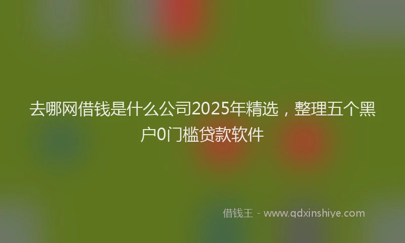 去哪网借钱是什么公司2025年精选，整理五个黑户0门槛贷款软件