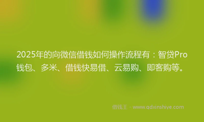 2025年的向微信借钱如何操作流程有：智贷Pro钱包、多米、借钱快易借、云易购、即客购等。