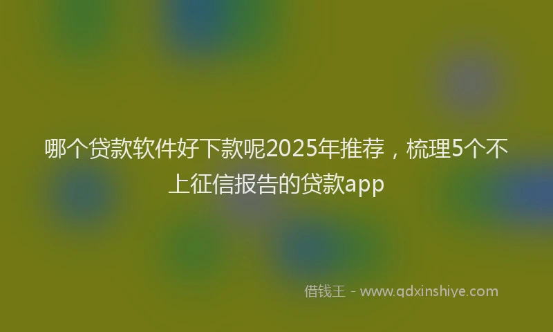 哪个贷款软件好下款呢2025年推荐，梳理5个不上征信报告的贷款app