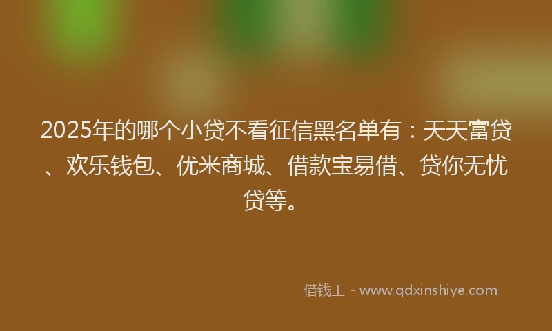 2025年的哪个小贷不看征信黑名单有：天天富贷、欢乐钱包、优米商城、借款宝易借、贷你无忧贷等。
