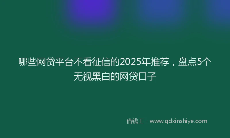哪些网贷平台不看征信的2025年推荐，盘点5个无视黑白的网贷口子