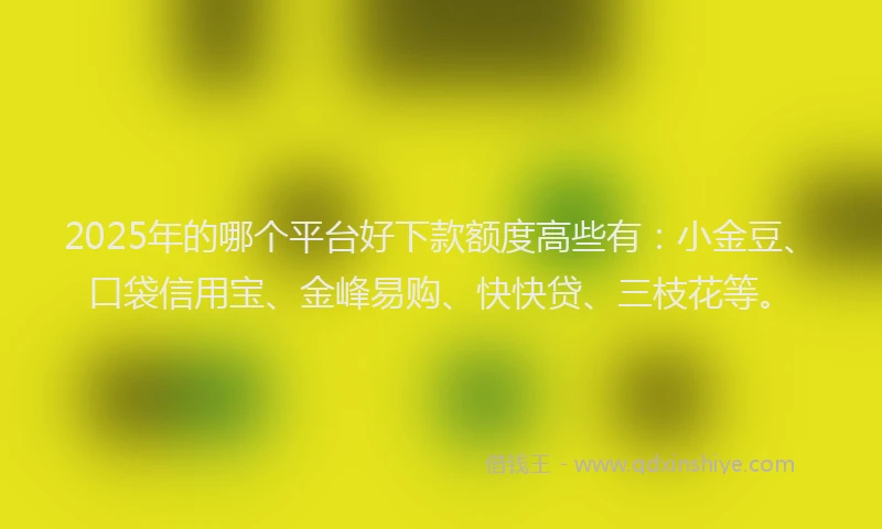 2025年的哪个平台好下款额度高些有：小金豆、口袋信用宝、金峰易购、快快贷、三枝花等。