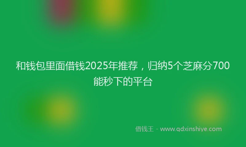 和钱包里面借钱2025年推荐，归纳5个芝麻分700能秒下的平台