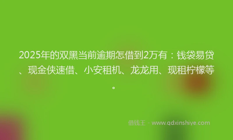 2025年的双黑当前逾期怎借到2万有：钱袋易贷、现金侠速借、小安租机、龙龙用、现租柠檬等。