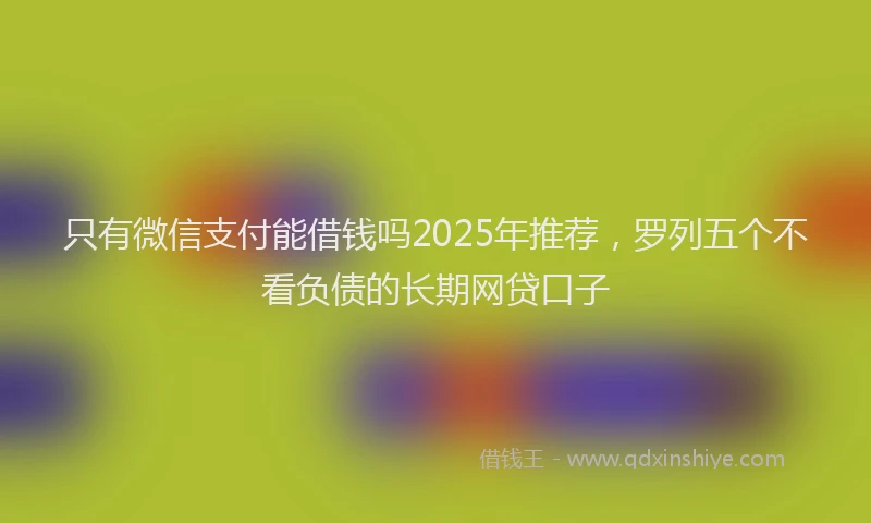 只有微信支付能借钱吗2025年推荐，罗列五个不看负债的长期网贷口子