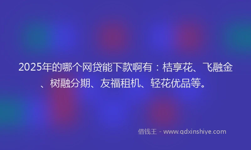 2025年的哪个网贷能下款啊有：桔享花、飞融金、树融分期、友福租机、轻花优品等。