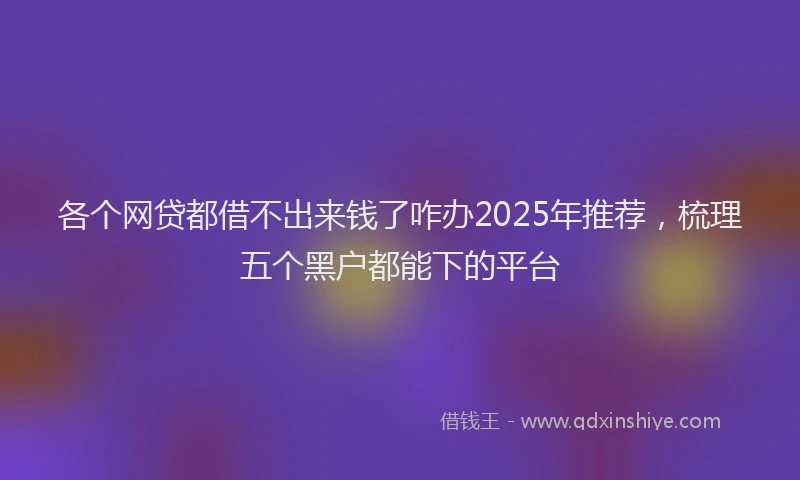 各个网贷都借不出来钱了咋办2025年推荐，梳理五个黑户都能下的平台