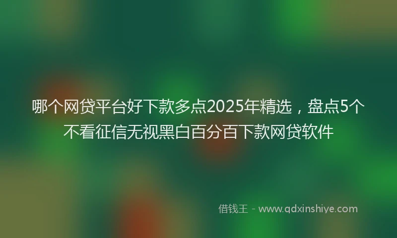 哪个网贷平台好下款多点2025年精选，盘点5个不看征信无视黑白百分百下款网贷软件