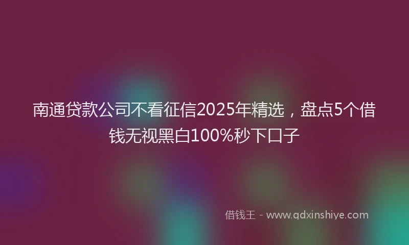 南通贷款公司不看征信2025年精选，盘点5个借钱无视黑白100%秒下口子