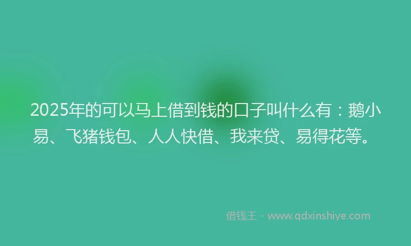 2025年的可以马上借到钱的口子叫什么有：鹅小易、飞猪钱包、人人快借、我来贷、易得花等。