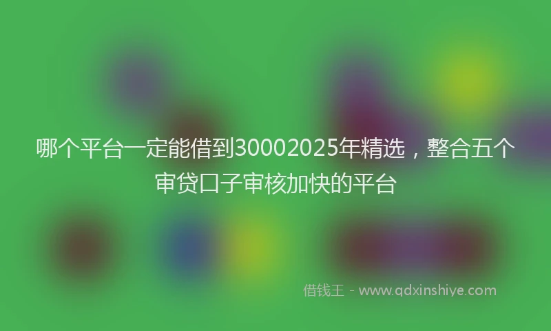 哪个平台一定能借到30002025年精选，整合五个审贷口子审核加快的平台
