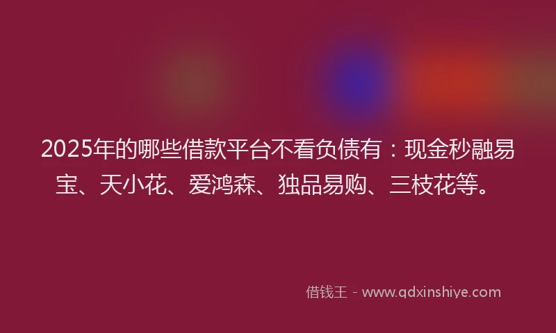2025年的哪些借款平台不看负债有：现金秒融易宝、天小花、爱鸿森、独品易购、三枝花等。