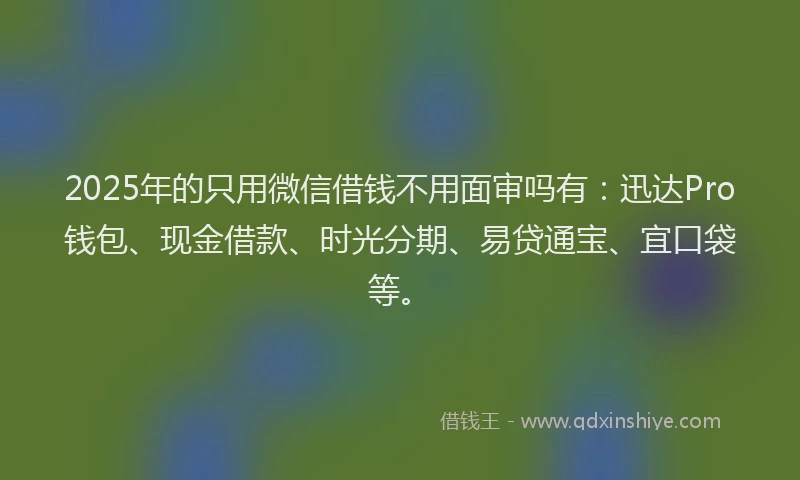 2025年的只用微信借钱不用面审吗有：迅达Pro钱包、现金借款、时光分期、易贷通宝、宜口袋等。