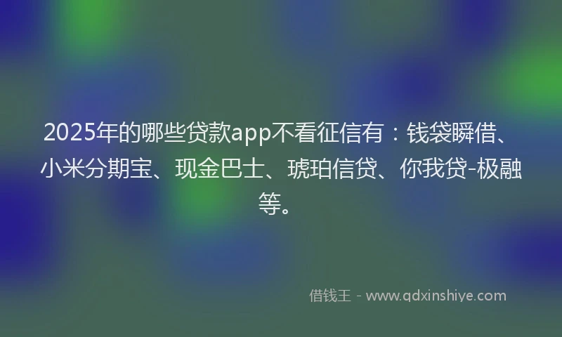 2025年的哪些贷款app不看征信有：钱袋瞬借、小米分期宝、现金巴士、琥珀信贷、你我贷-极融等。