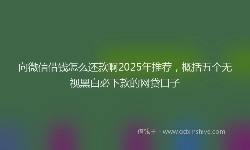 向微信借钱怎么还款啊2025年推荐，概括五个无视黑白必下款的网贷口子
