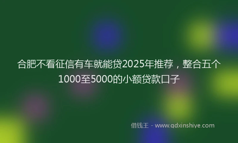 合肥不看征信有车就能贷2025年推荐，整合五个1000至5000的小额贷款口子