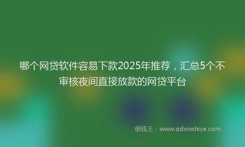 哪个网贷软件容易下款2025年推荐，汇总5个不审核夜间直接放款的网贷平台