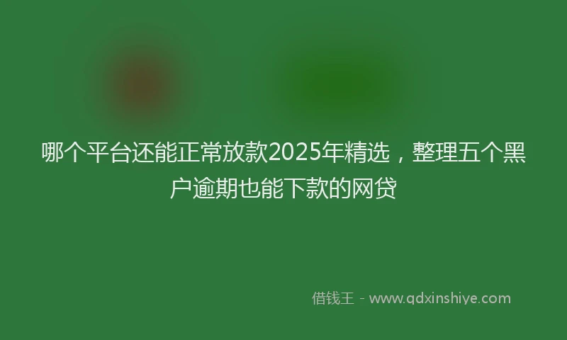 哪个平台还能正常放款2025年精选，整理五个黑户逾期也能下款的网贷