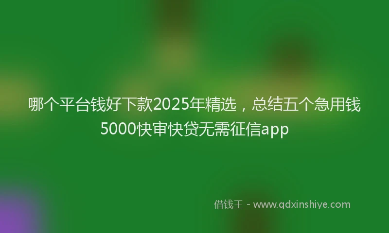 哪个平台钱好下款2025年精选，总结五个急用钱5000快审快贷无需征信app
