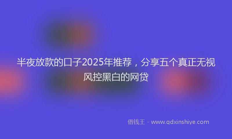 半夜放款的口子2025年推荐，分享五个真正无视风控黑白的网贷