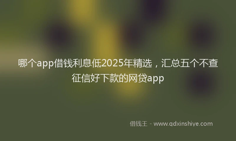 哪个app借钱利息低2025年精选，汇总五个不查征信好下款的网贷app