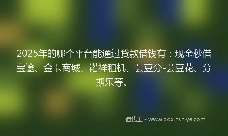 2025年的哪个平台能通过贷款借钱有：现金秒借宝途、金卡商城、诺祥租机、芸豆分-芸豆花、分期乐等。