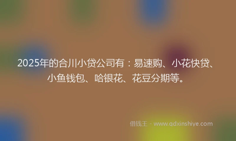 2025年的合川小贷公司有：易速购、小花快贷、小鱼钱包、哈银花、花豆分期等。