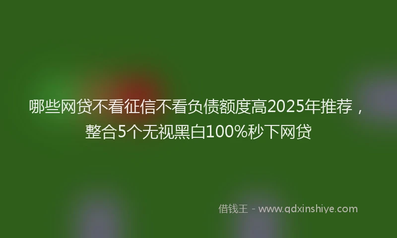 哪些网贷不看征信不看负债额度高2025年推荐，整合5个无视黑白100%秒下网贷