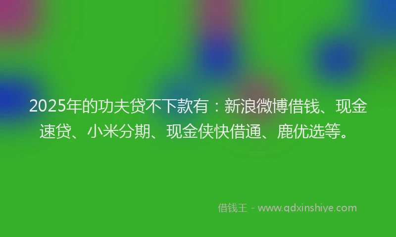 2025年的功夫贷不下款有：新浪微博借钱、现金速贷、小米分期、现金侠快借通、鹿优选等。