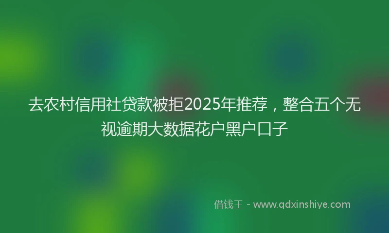 去农村信用社贷款被拒2025年推荐，整合五个无视逾期大数据花户黑户口子