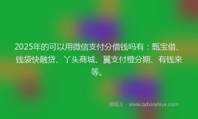2025年的可以用微信支付分借钱吗有：甄宝借、钱袋快融贷、丫头商城、翼支付橙分期、有钱来等。