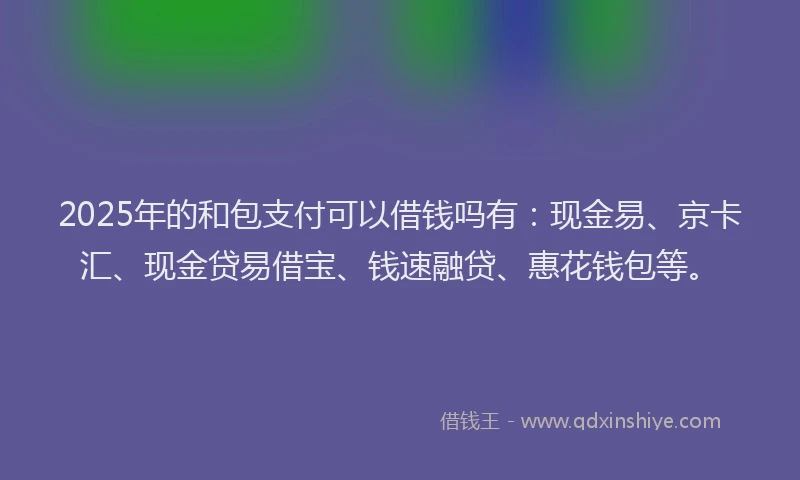 2025年的和包支付可以借钱吗有：现金易、京卡汇、现金贷易借宝、钱速融贷、惠花钱包等。
