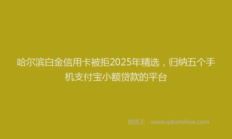 哈尔滨白金信用卡被拒2025年精选，归纳五个手机支付宝小额贷款的平台