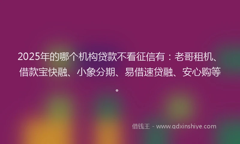2025年的哪个机构贷款不看征信有：老哥租机、借款宝快融、小象分期、易借速贷融、安心购等。