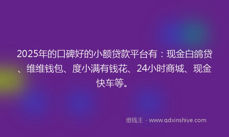 2025年的口碑好的小额贷款平台有：现金白鸽贷、维维钱包、度小满有钱花、24小时商城、现金快车等。
