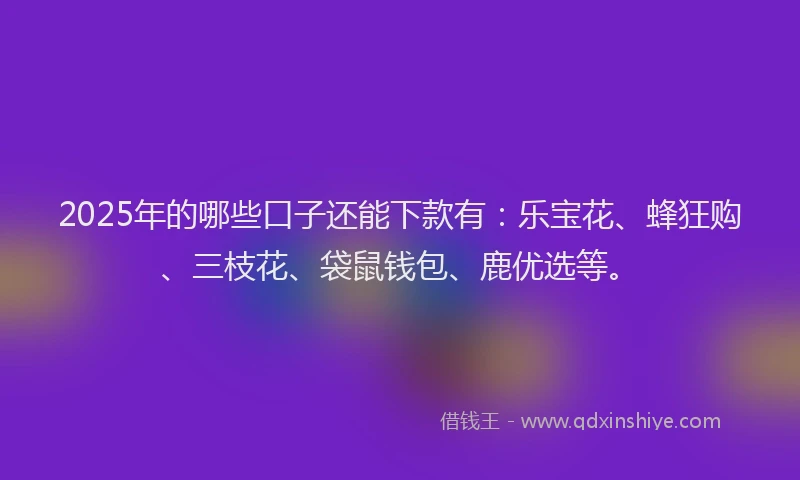 2025年的哪些口子还能下款有：乐宝花、蜂狂购、三枝花、袋鼠钱包、鹿优选等。