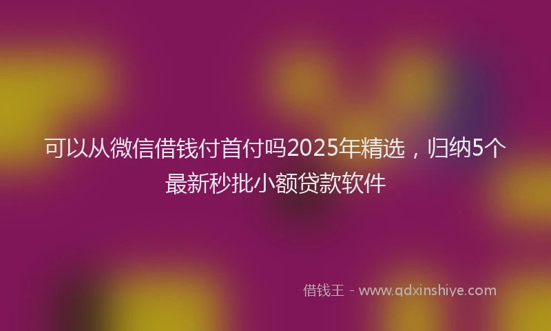 可以从微信借钱付首付吗2025年精选，归纳5个最新秒批小额贷款软件