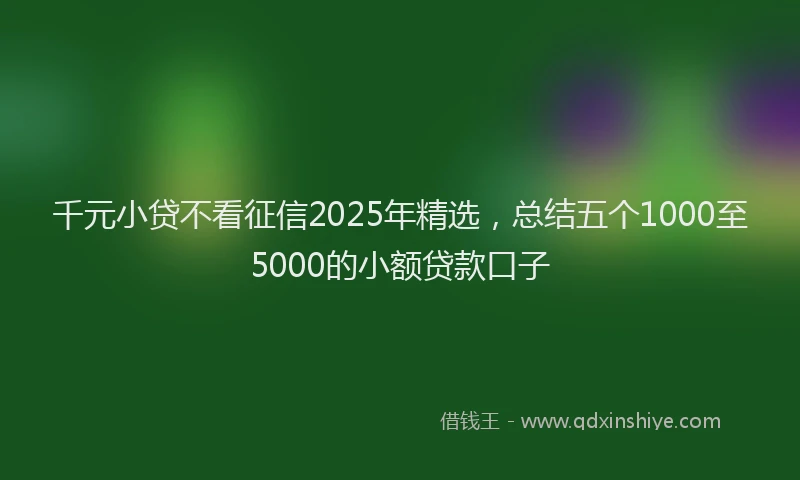 千元小贷不看征信2025年精选，总结五个1000至5000的小额贷款口子