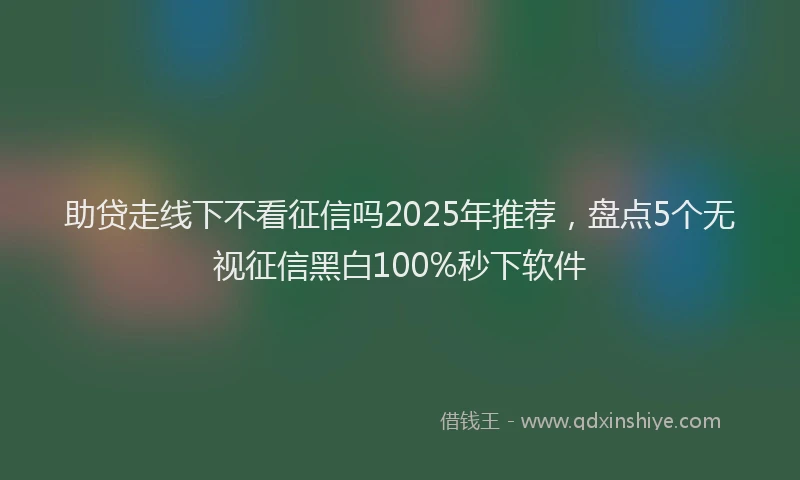 助贷走线下不看征信吗2025年推荐，盘点5个无视征信黑白100%秒下软件