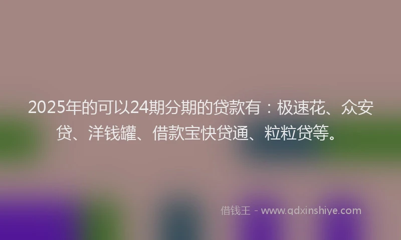 2025年的可以24期分期的贷款有：极速花、众安贷、洋钱罐、借款宝快贷通、粒粒贷等。