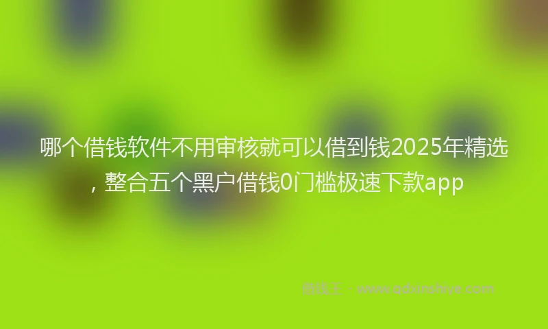 哪个借钱软件不用审核就可以借到钱2025年精选，整合五个黑户借钱0门槛极速下款app