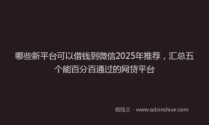 哪些新平台可以借钱到微信2025年推荐，汇总五个能百分百通过的网贷平台